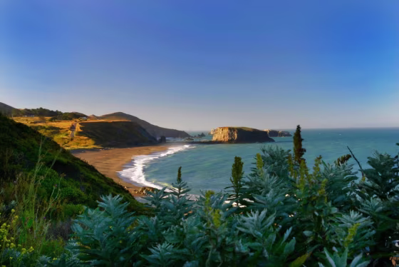 Image: The Sonoma coast